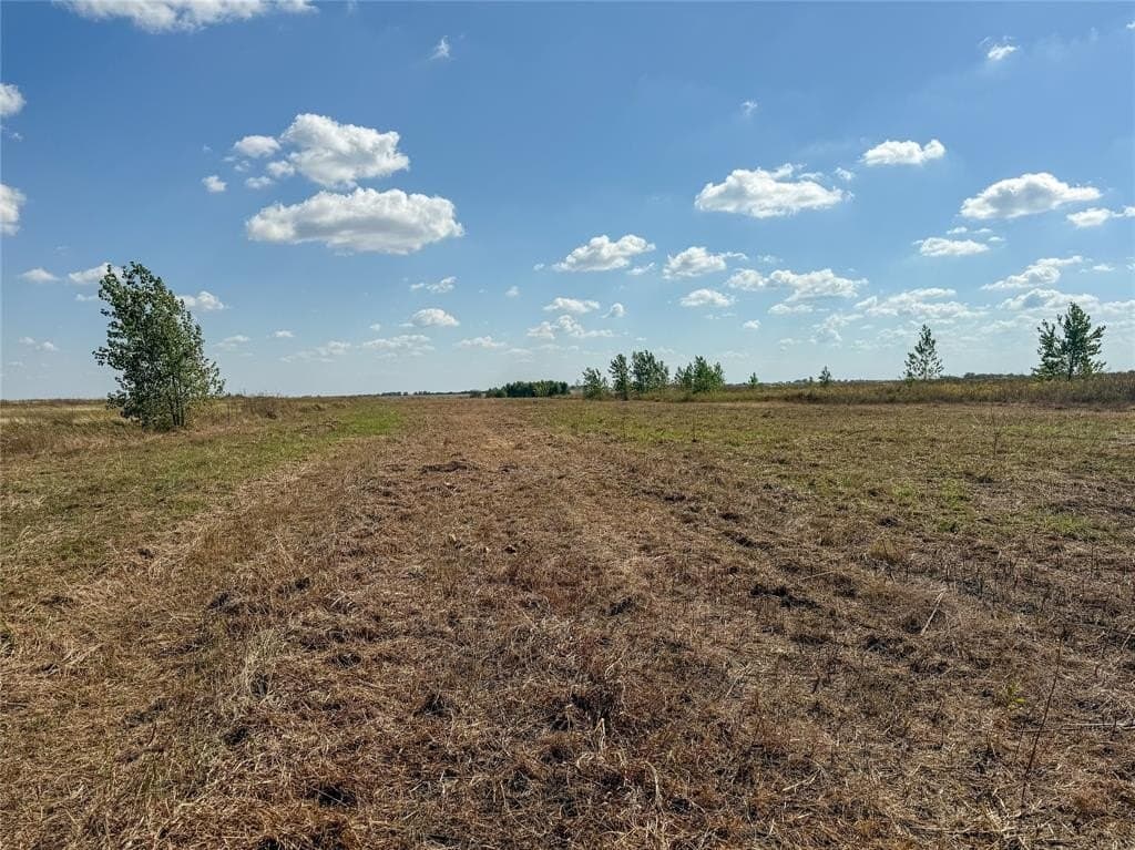 21.83 acres in Johnson County gallery image 4