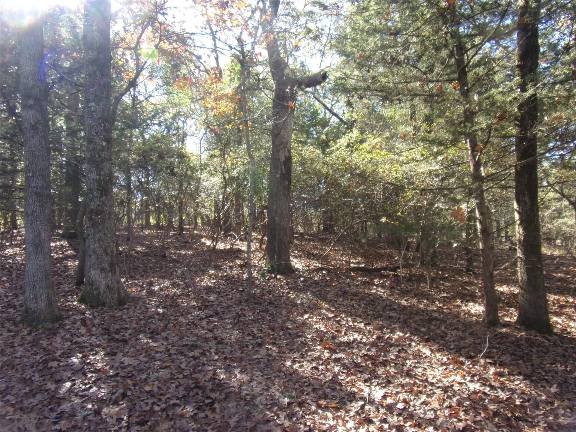 0.64 acres in Van Zandt County - photo 6