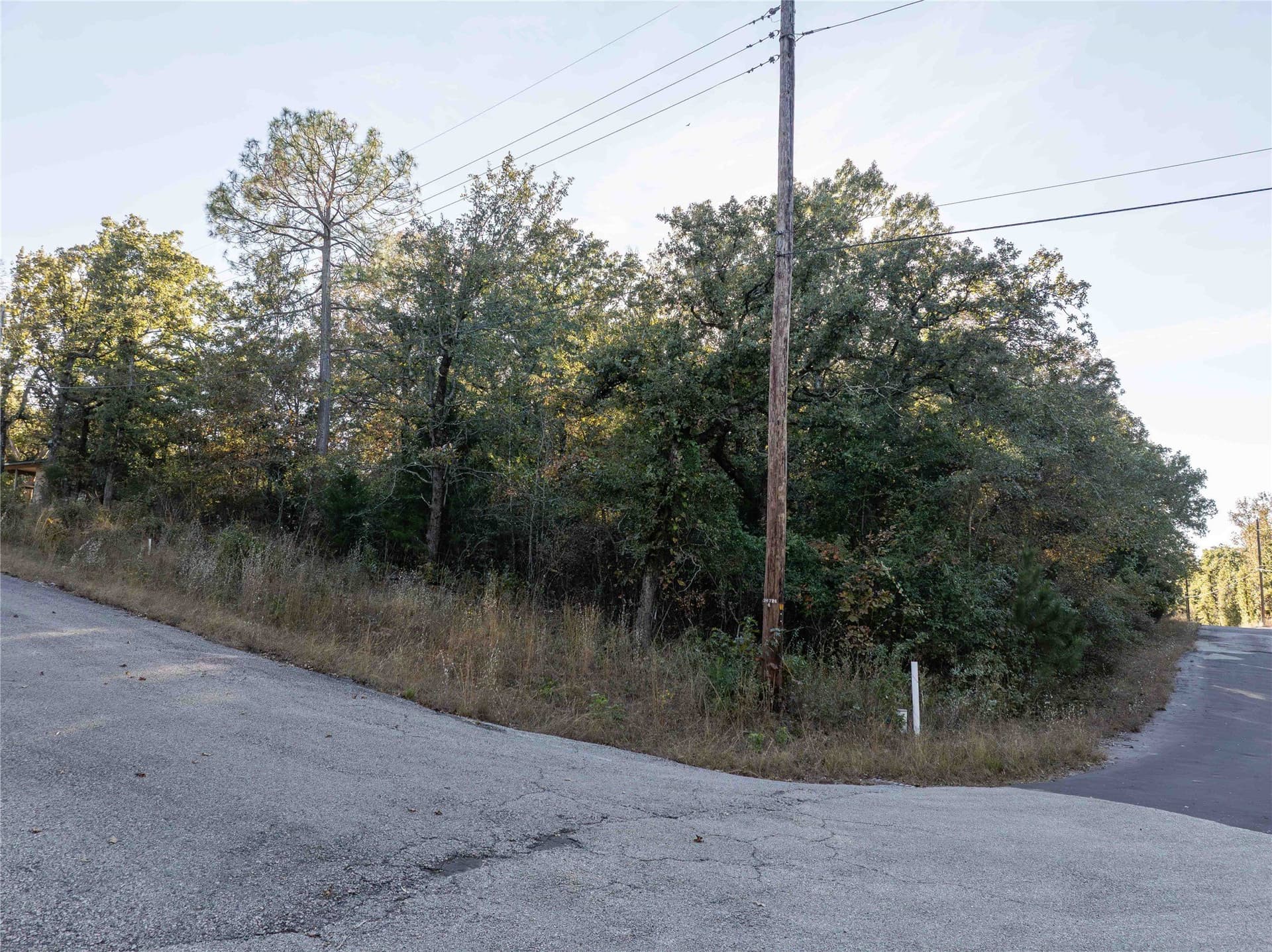0.64 acres in Van Zandt County gallery image 2