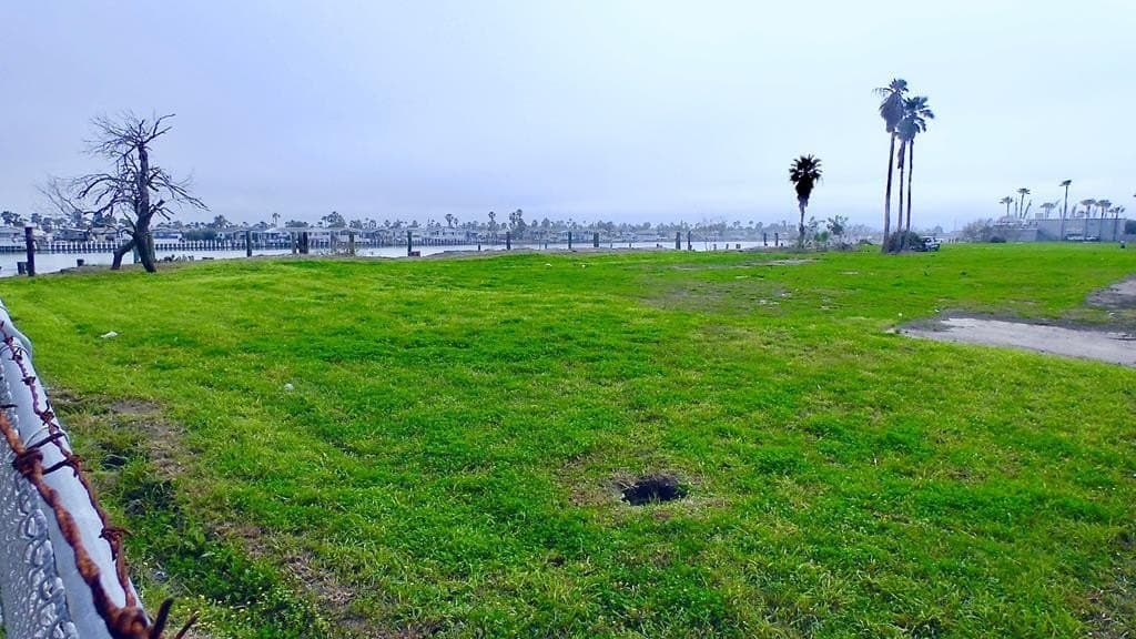 0 acres in Cameron County gallery image 2