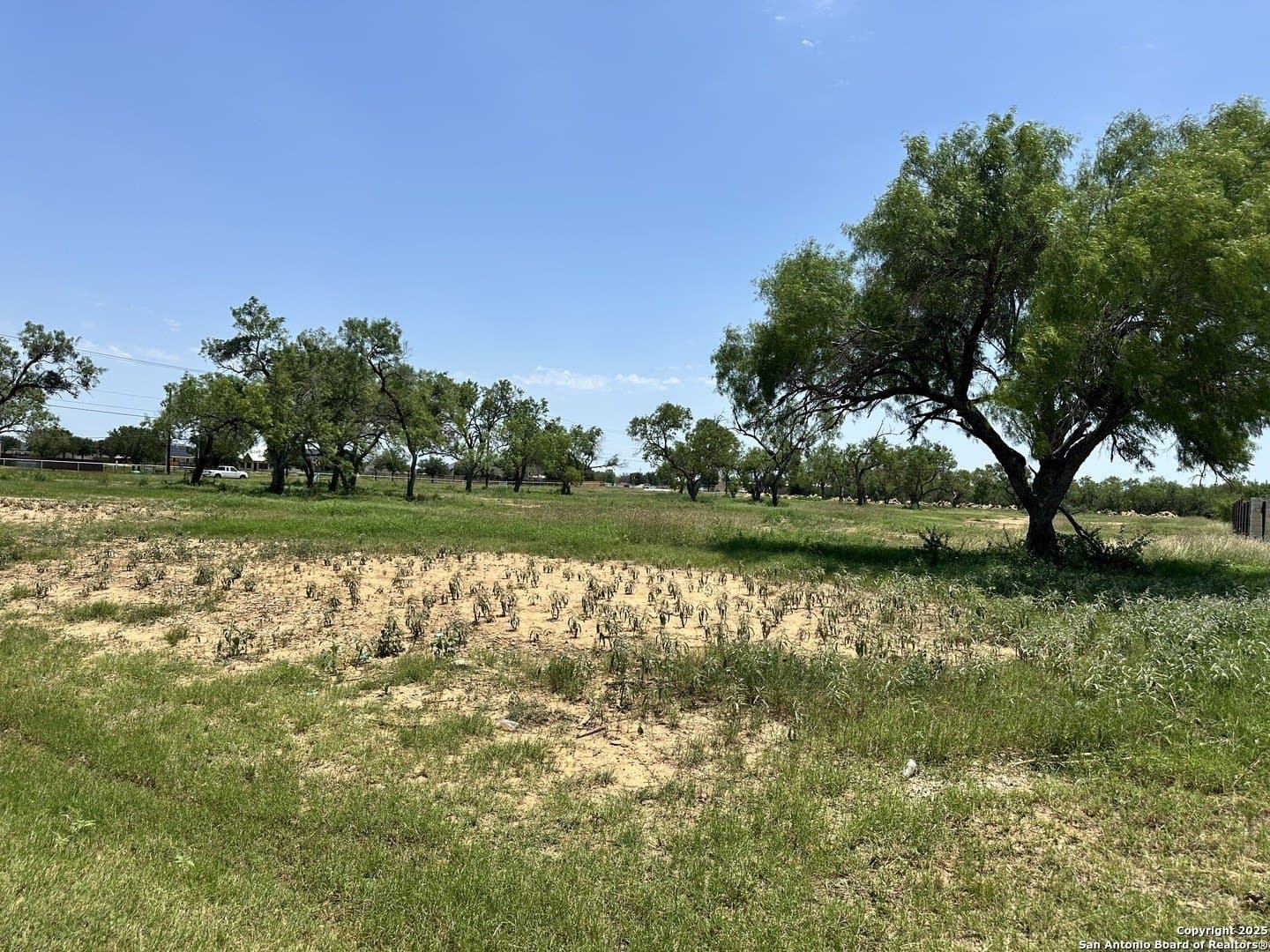 4.17 acres in Atascosa County gallery image 3