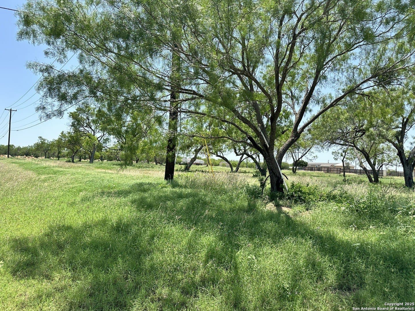 4.17 acres in Atascosa County - photo 11