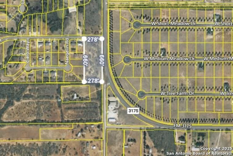 4.17 acres in Atascosa County gallery image 4