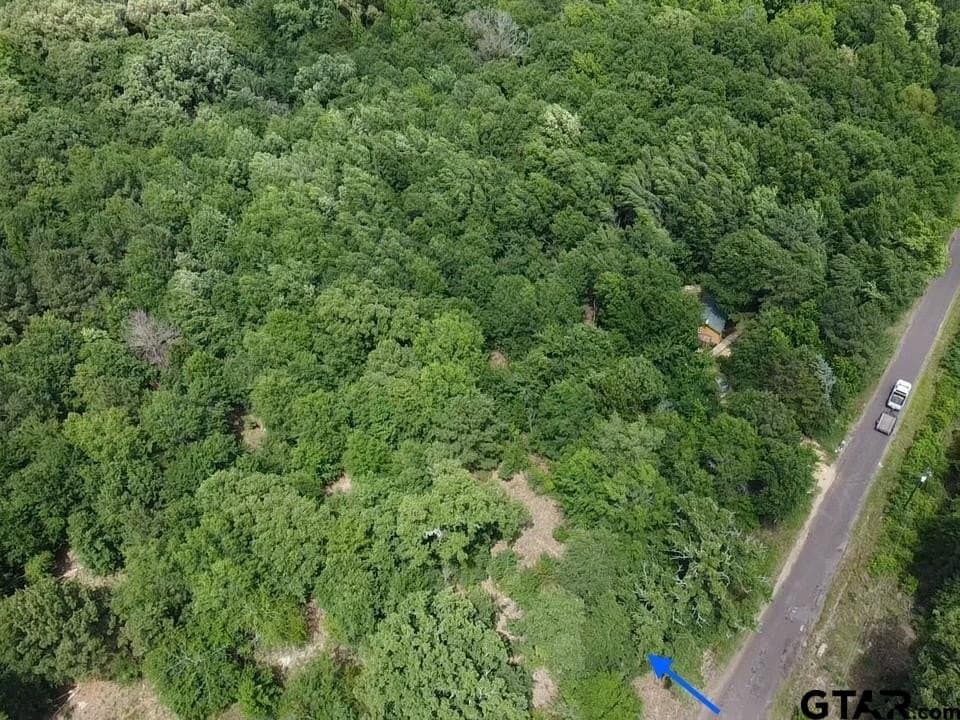 2.01 acres in Wood County gallery image 2