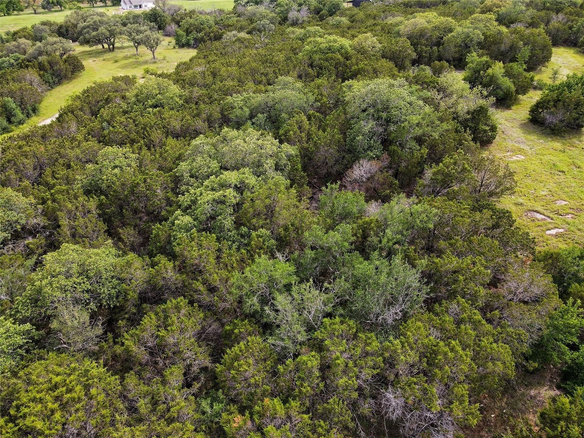 7.71 acres in Palo Pinto County gallery image 4