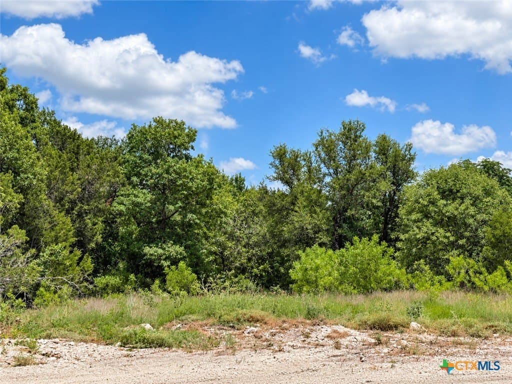 1.44 acres in Bell County - photo 3