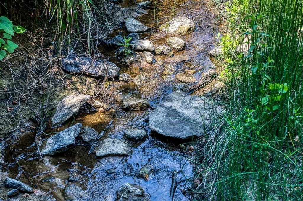 60.95 acres in Parker County gallery image 4