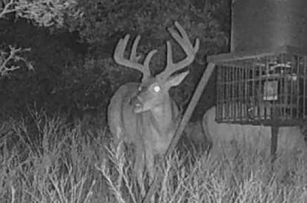 60.95 acres in Parker County gallery image 2