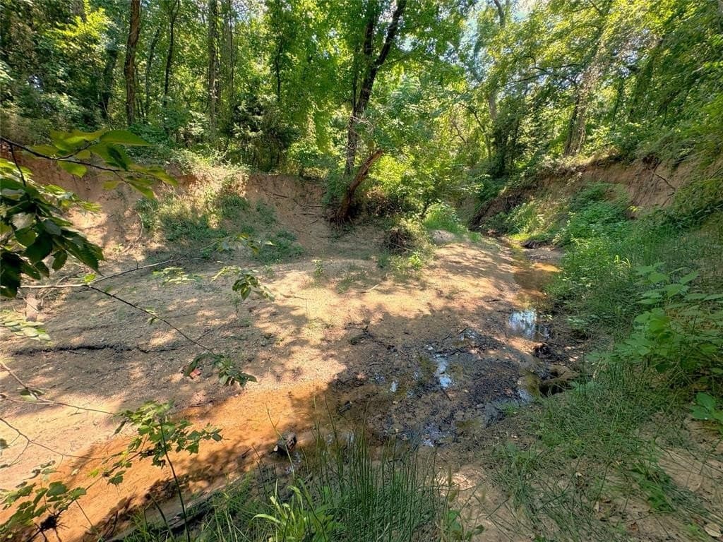 60.95 acres in Parker County gallery image 3