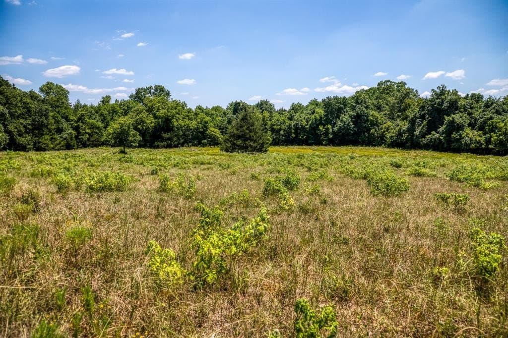 60.95 acres in Parker County featured view
