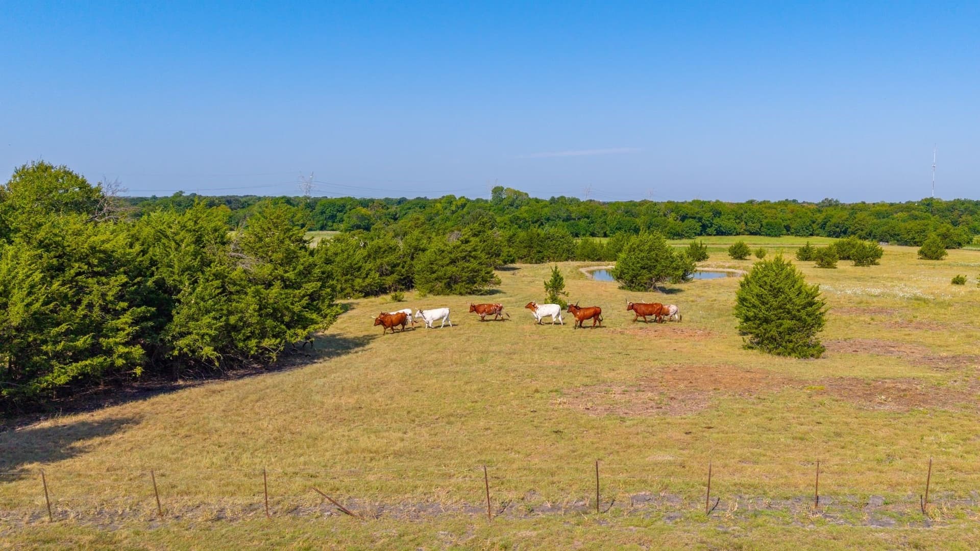 102.28 acres in Hunt County - photo 37