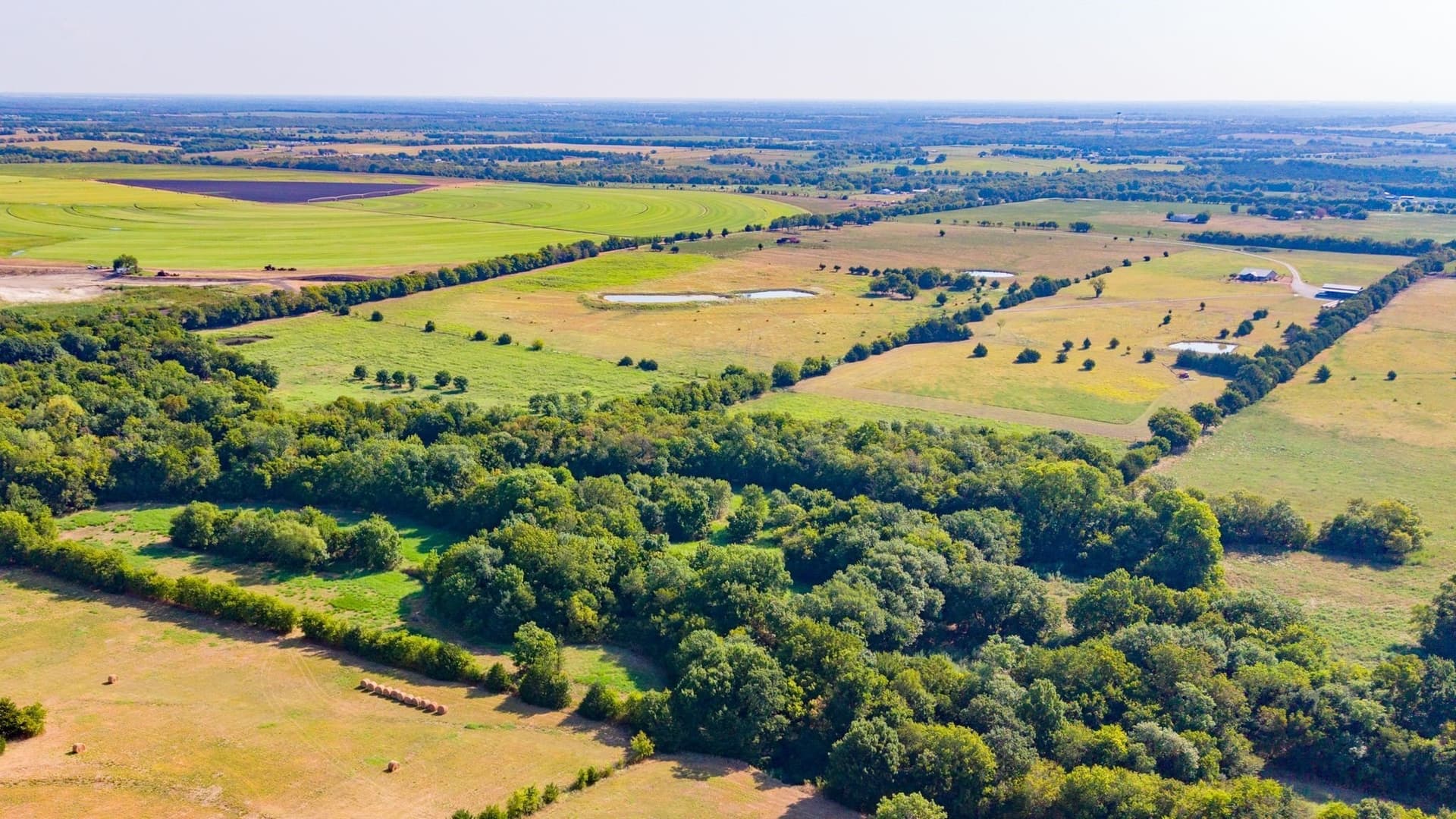 102.28 acres in Hunt County - photo 5