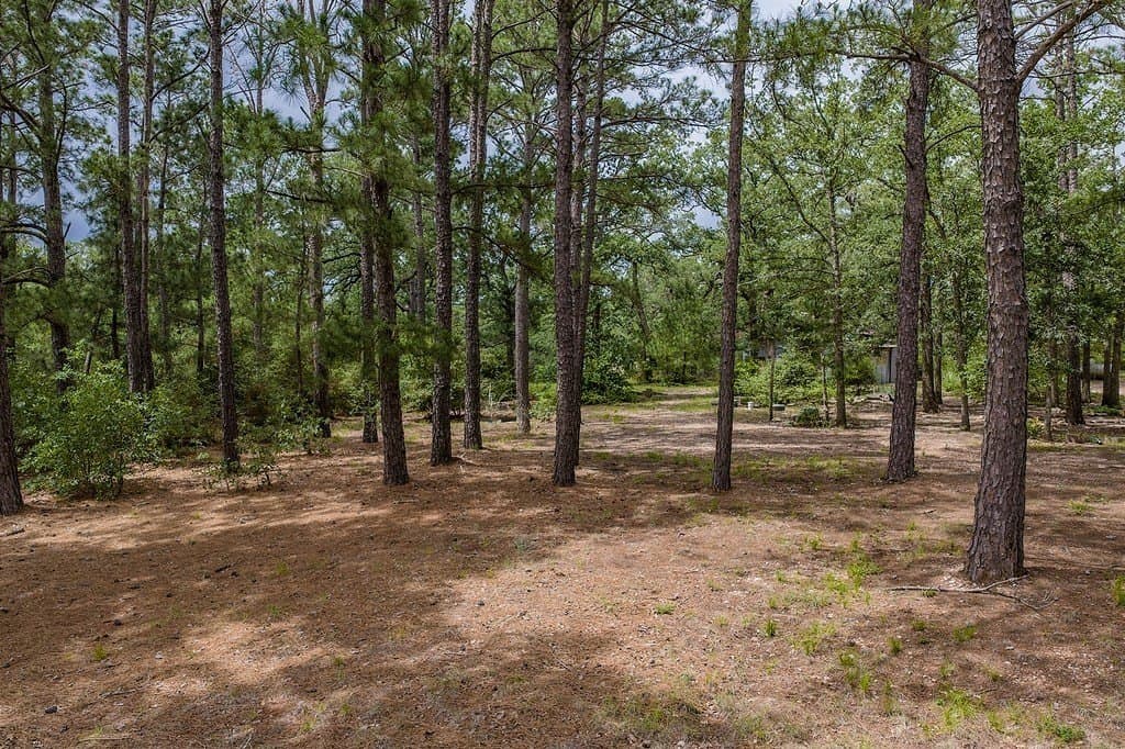5 acres in Washington County - photo 24