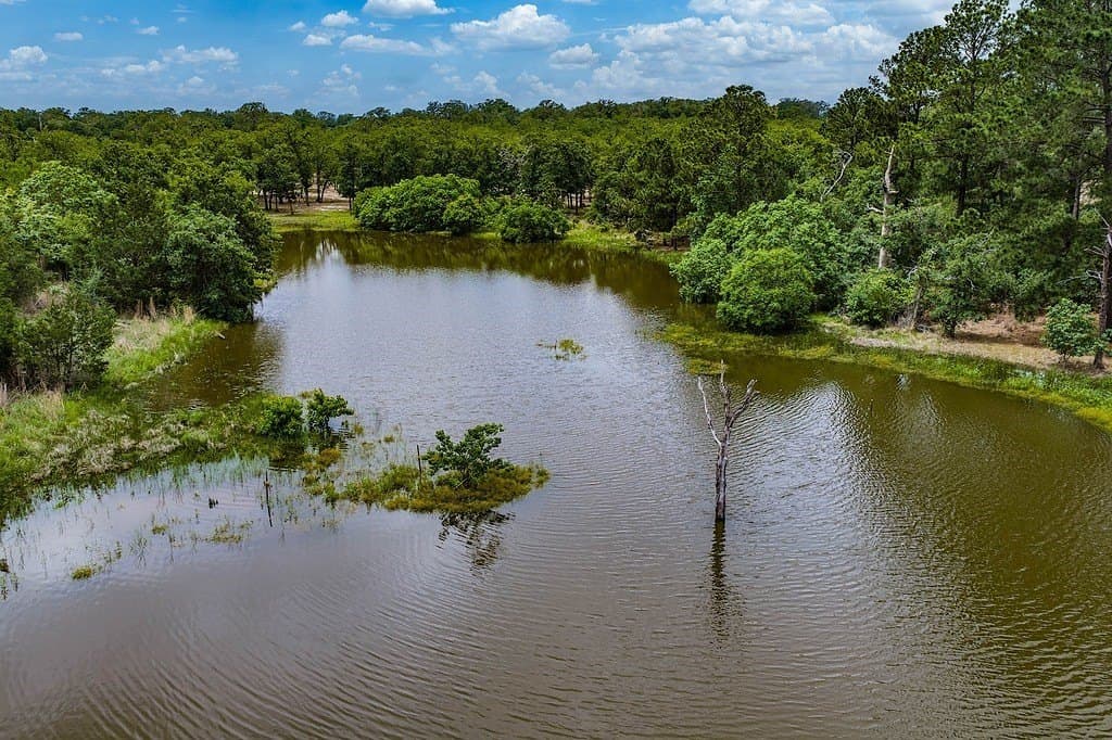 5 acres in Washington County - photo 20