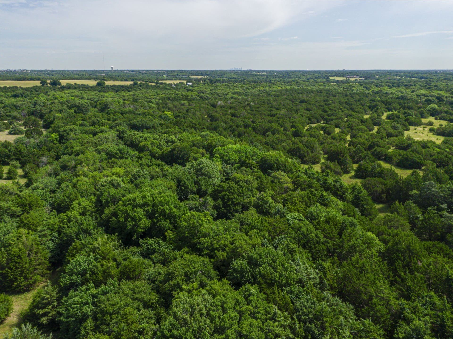 21.28 acres in Ellis County - photo 14