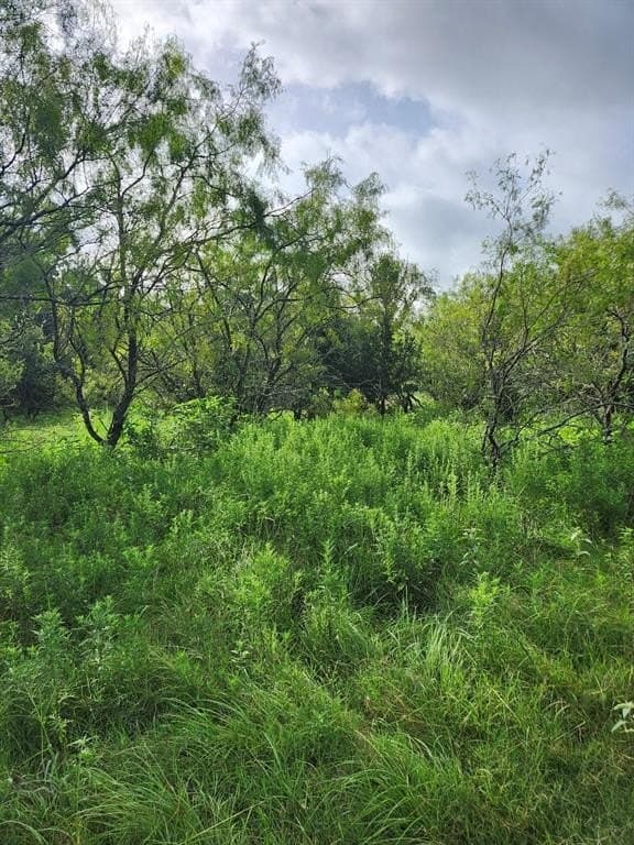 4.2 acres in Falls County gallery image 3