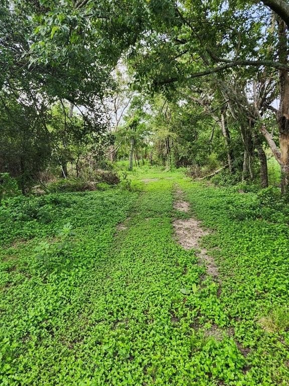 4.2 acres in Falls County gallery image 2