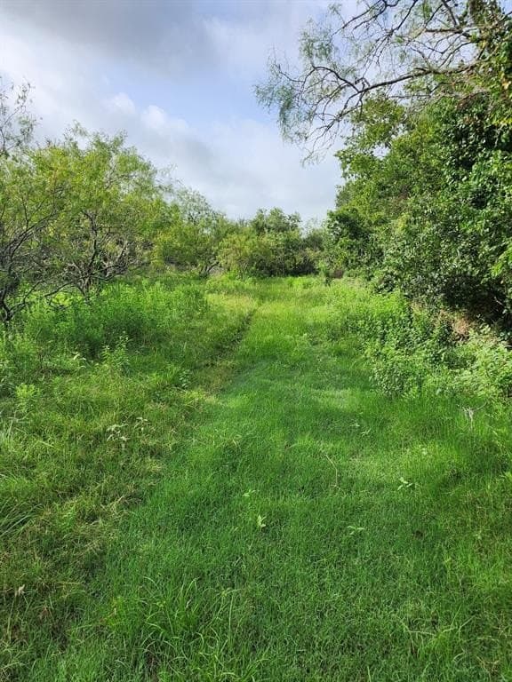 4.2 acres in Falls County featured view