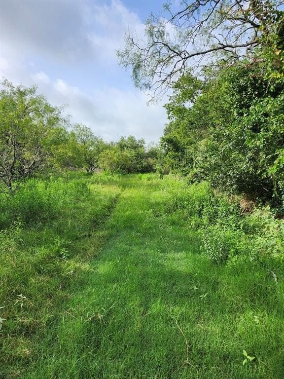 4.2 acres in Falls County gallery image 4