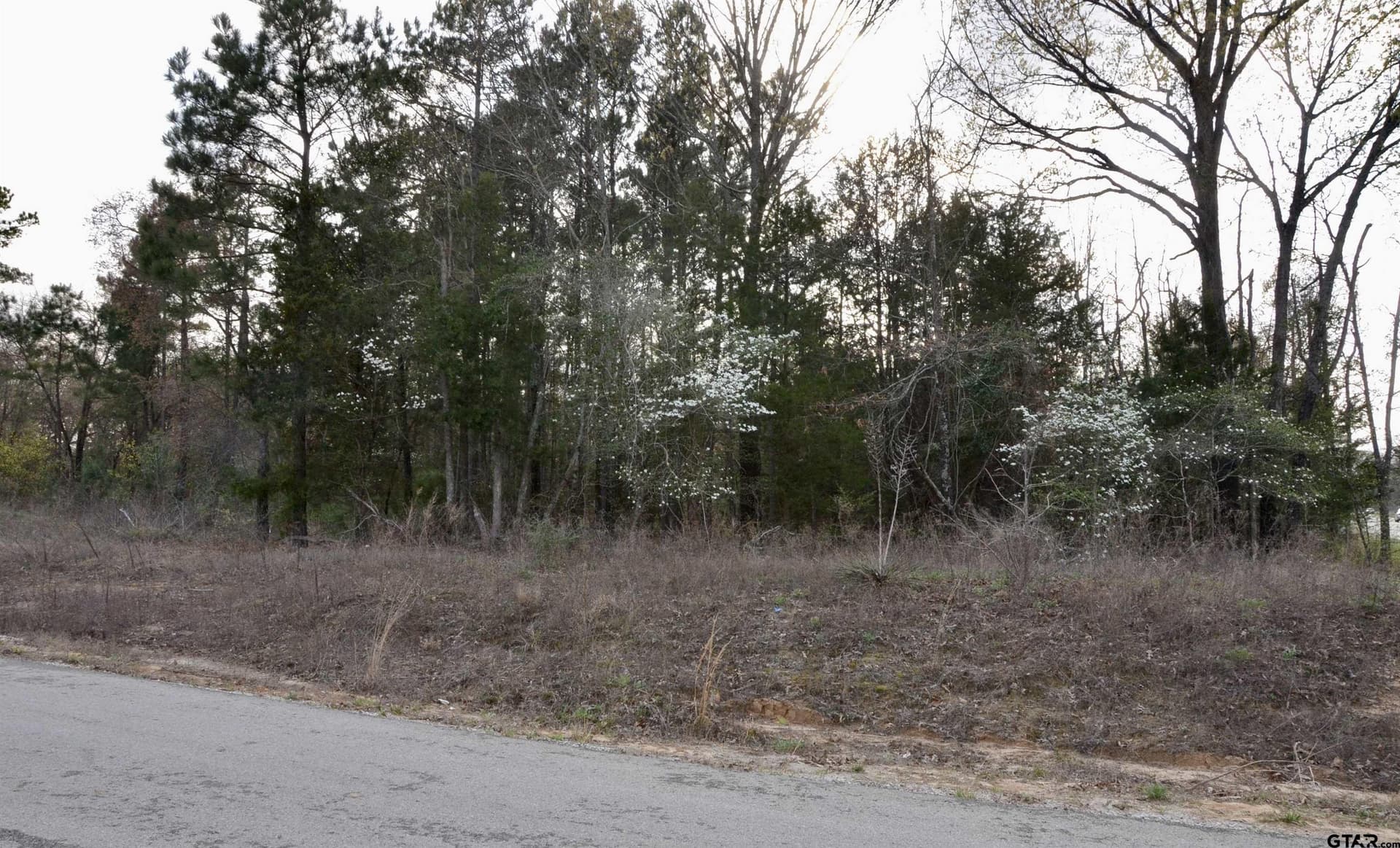 0.51 acres in Wood County - photo 7