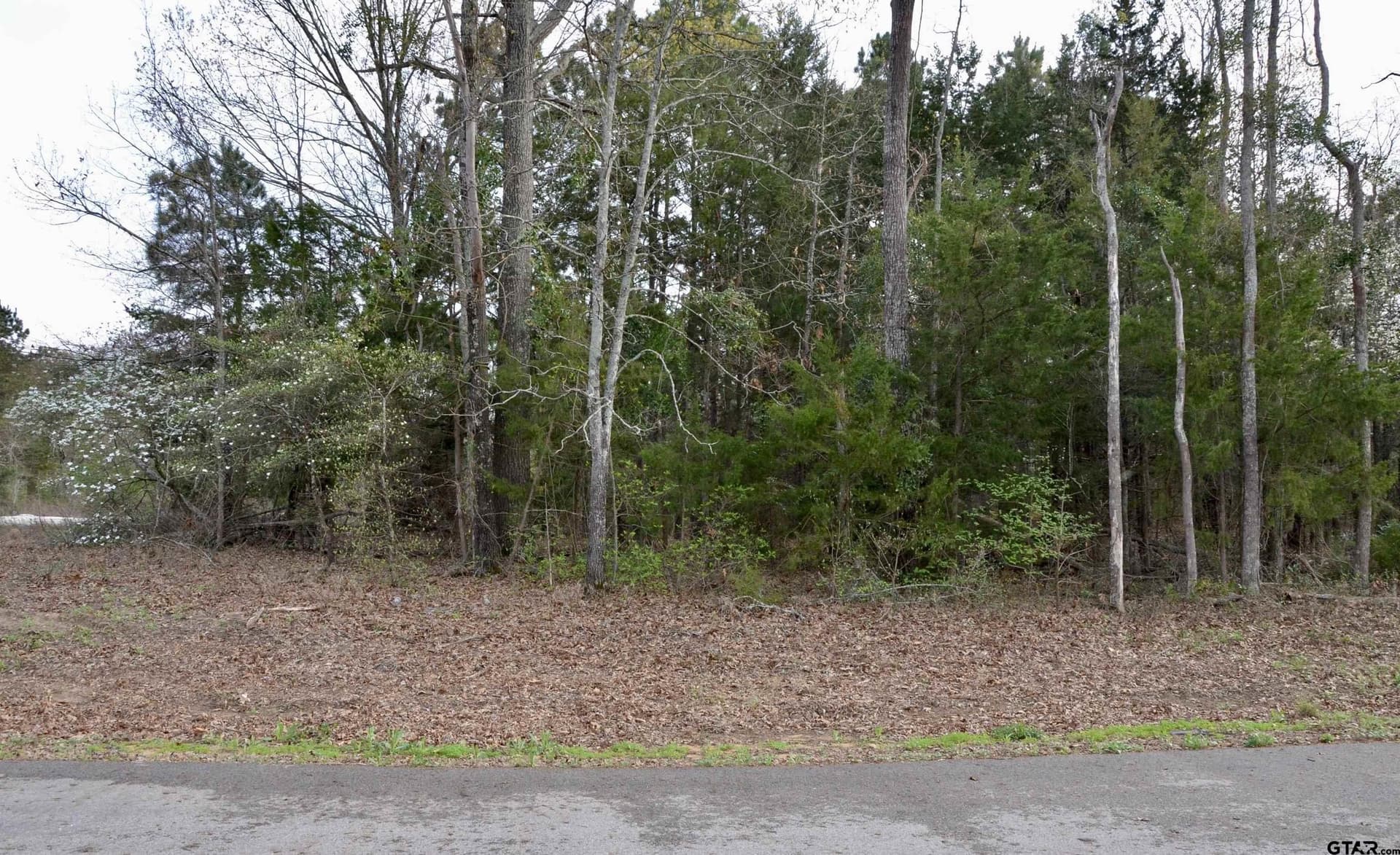 0.51 acres in Wood County - photo 8