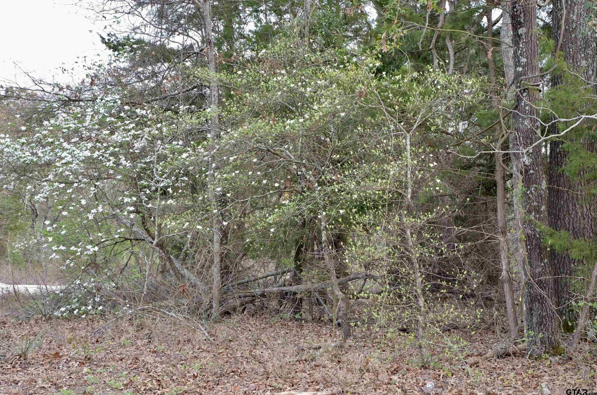 0.51 acres in Wood County - photo 6
