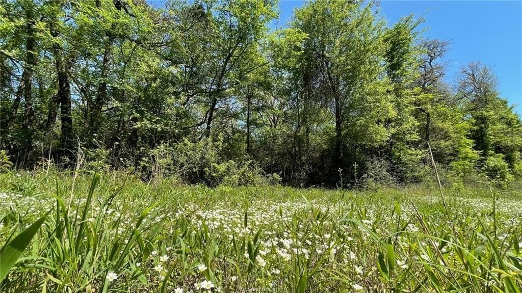 10.11 acres in Robertson County gallery image 2
