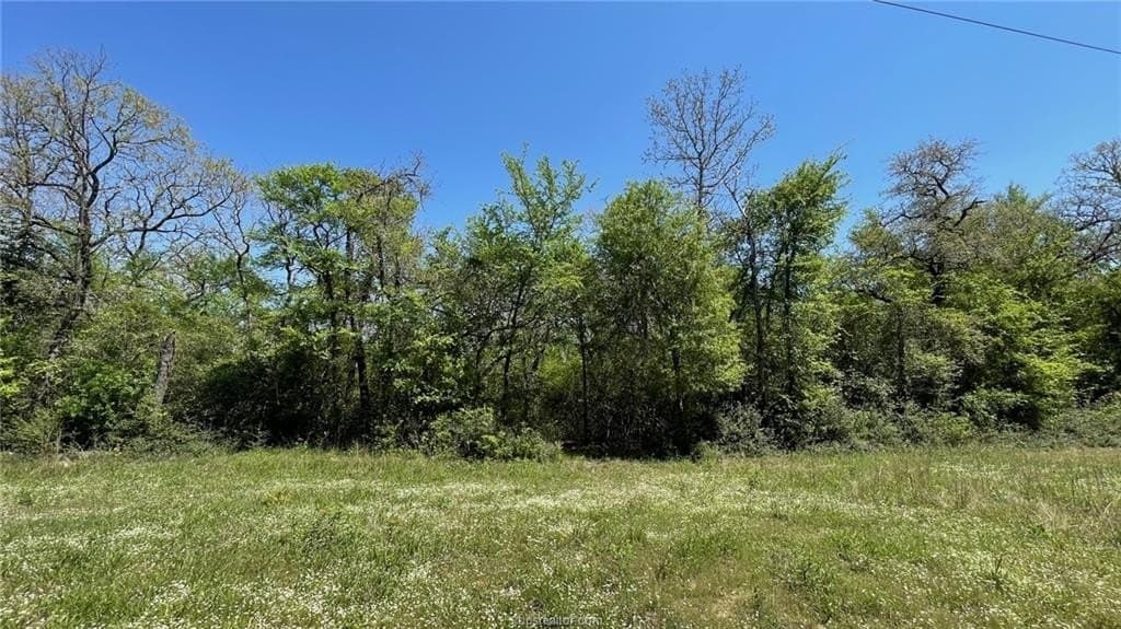 10.11 acres in Robertson County gallery image 4