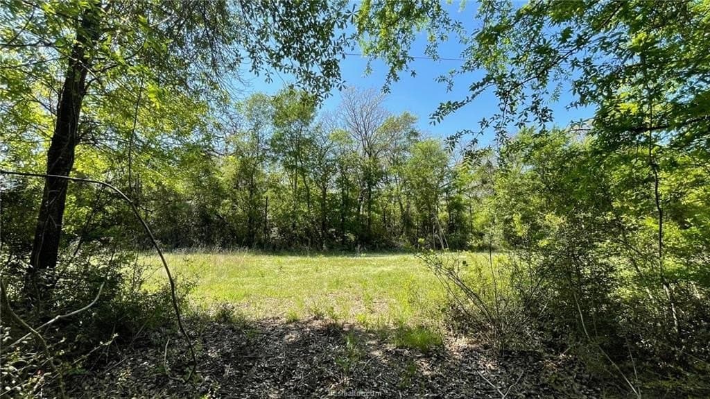 10.11 acres in Robertson County gallery image 3