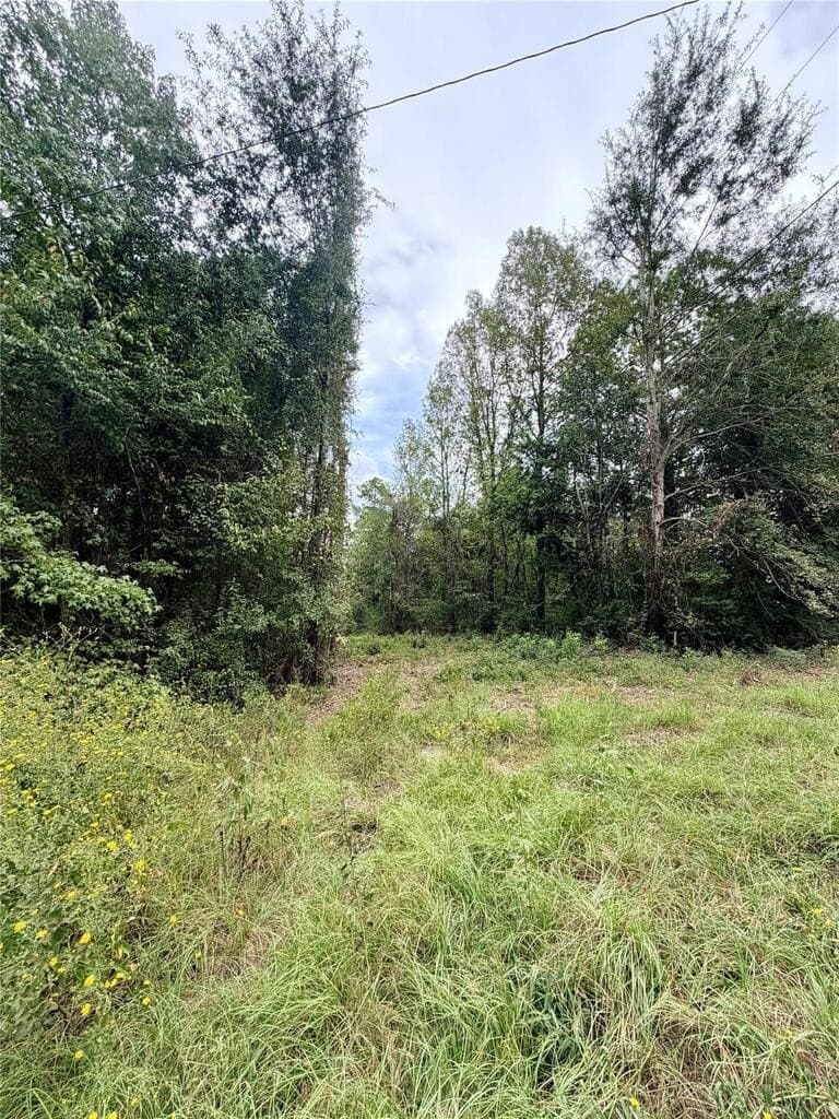 0.48 acres in HOUSTON County - photo 2