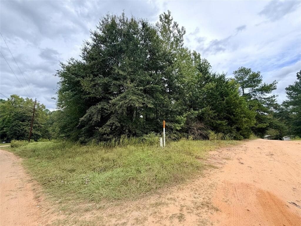 0.48 acres in HOUSTON County - photo 3