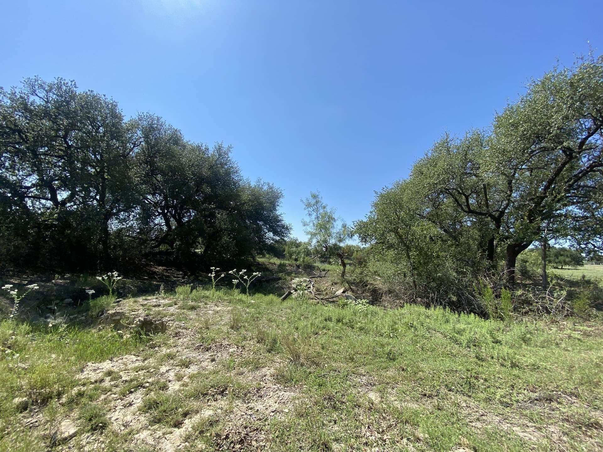 25 acres in Mills County - photo 9