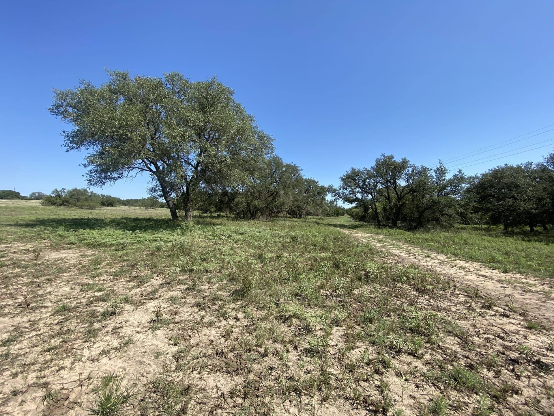 25 acres in Mills County - photo 8