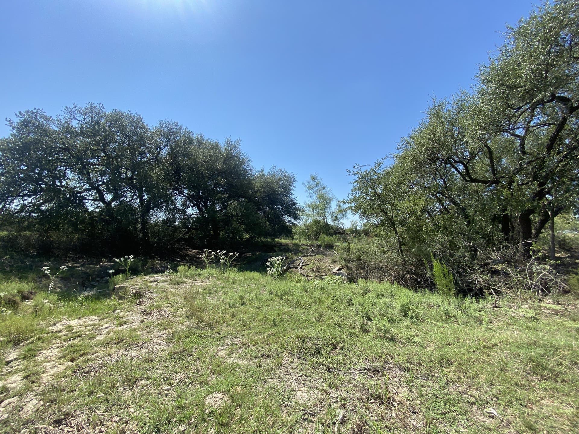 25 acres in Mills County - photo 5