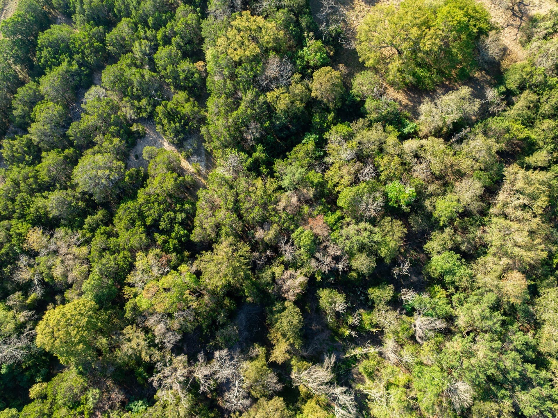 12 acres in Bosque County - photo 9