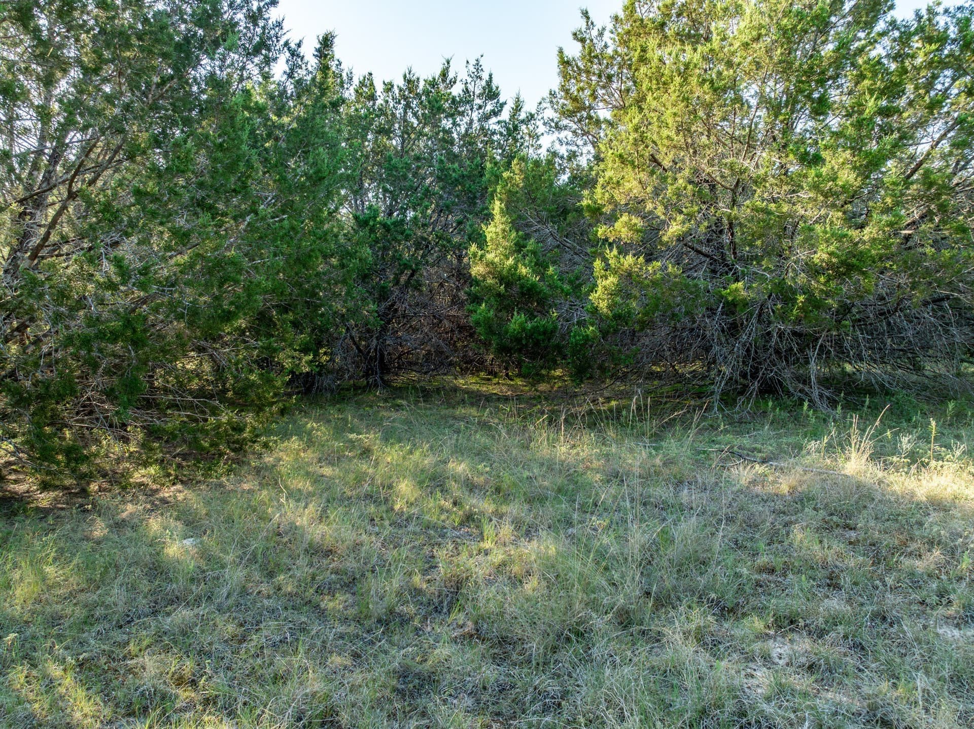 12 acres in Bosque County - photo 20