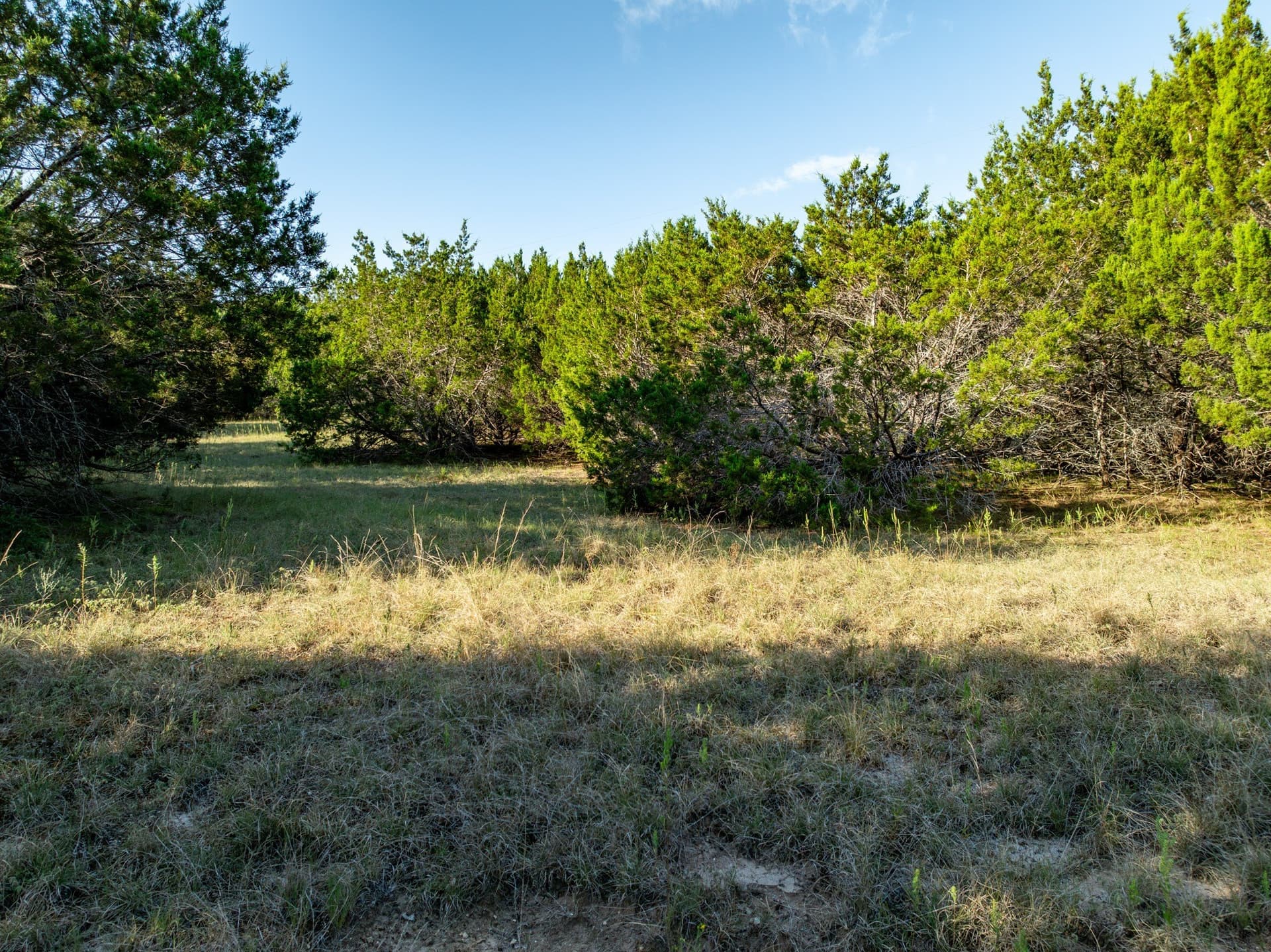 12 acres in Bosque County - photo 21
