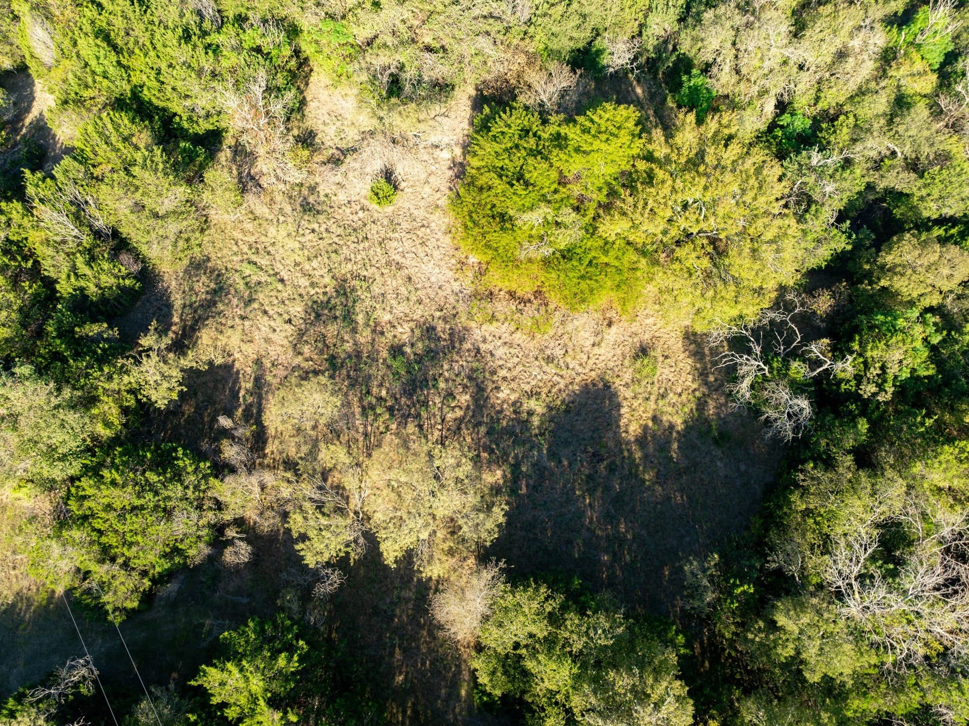 12 acres in Bosque County - photo 13