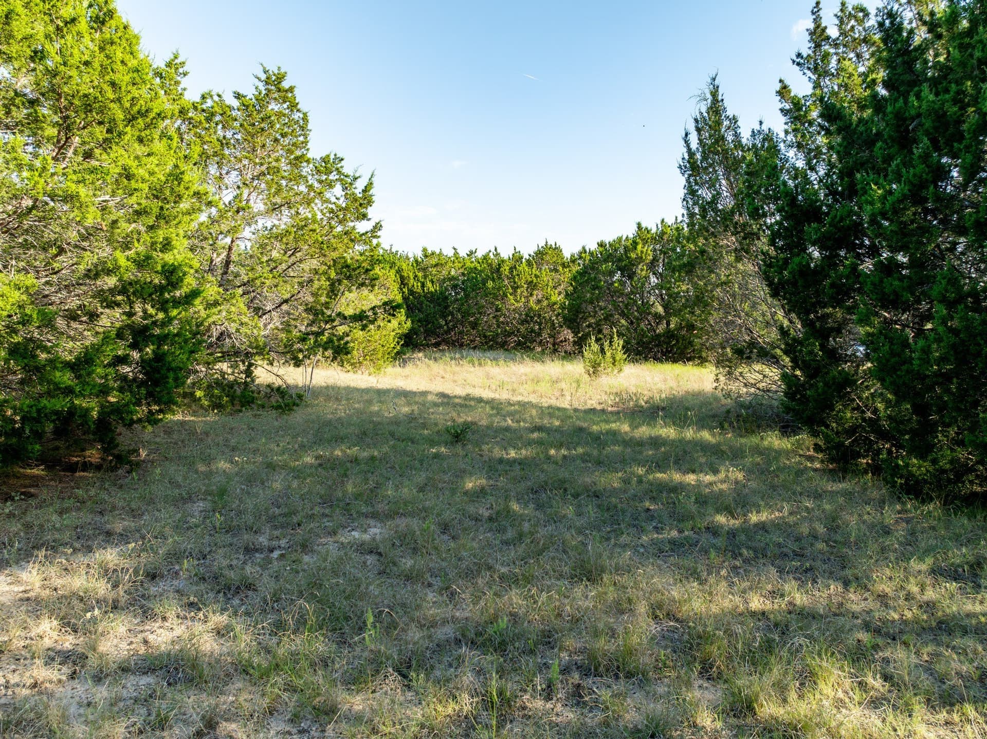 12 acres in Bosque County - photo 19