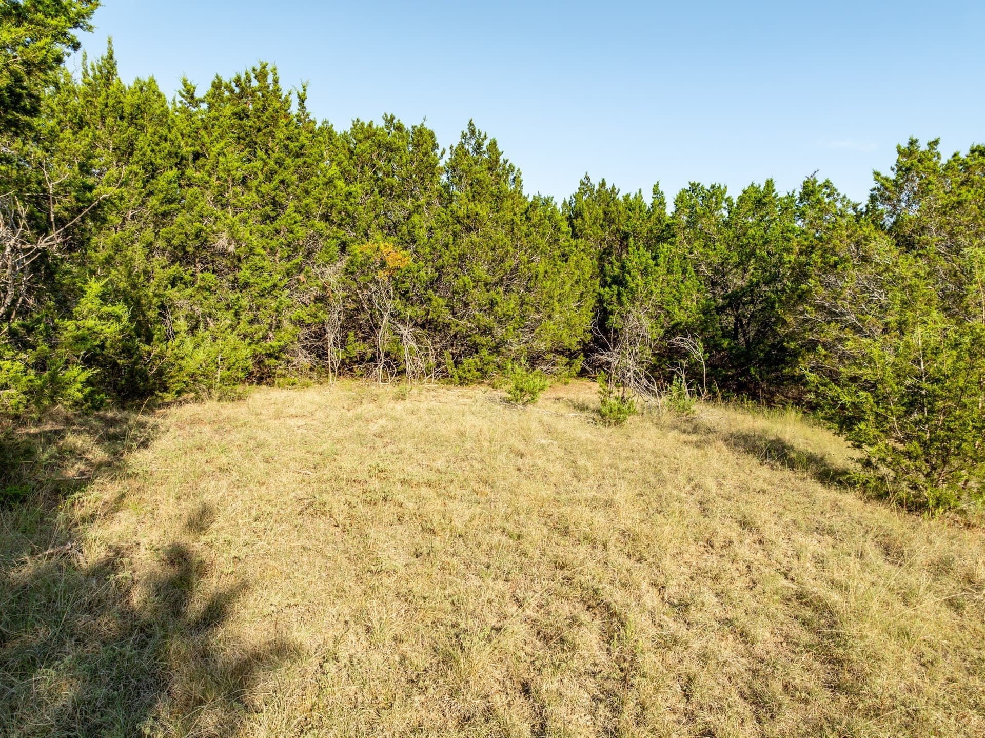 12 acres in Bosque County - photo 22