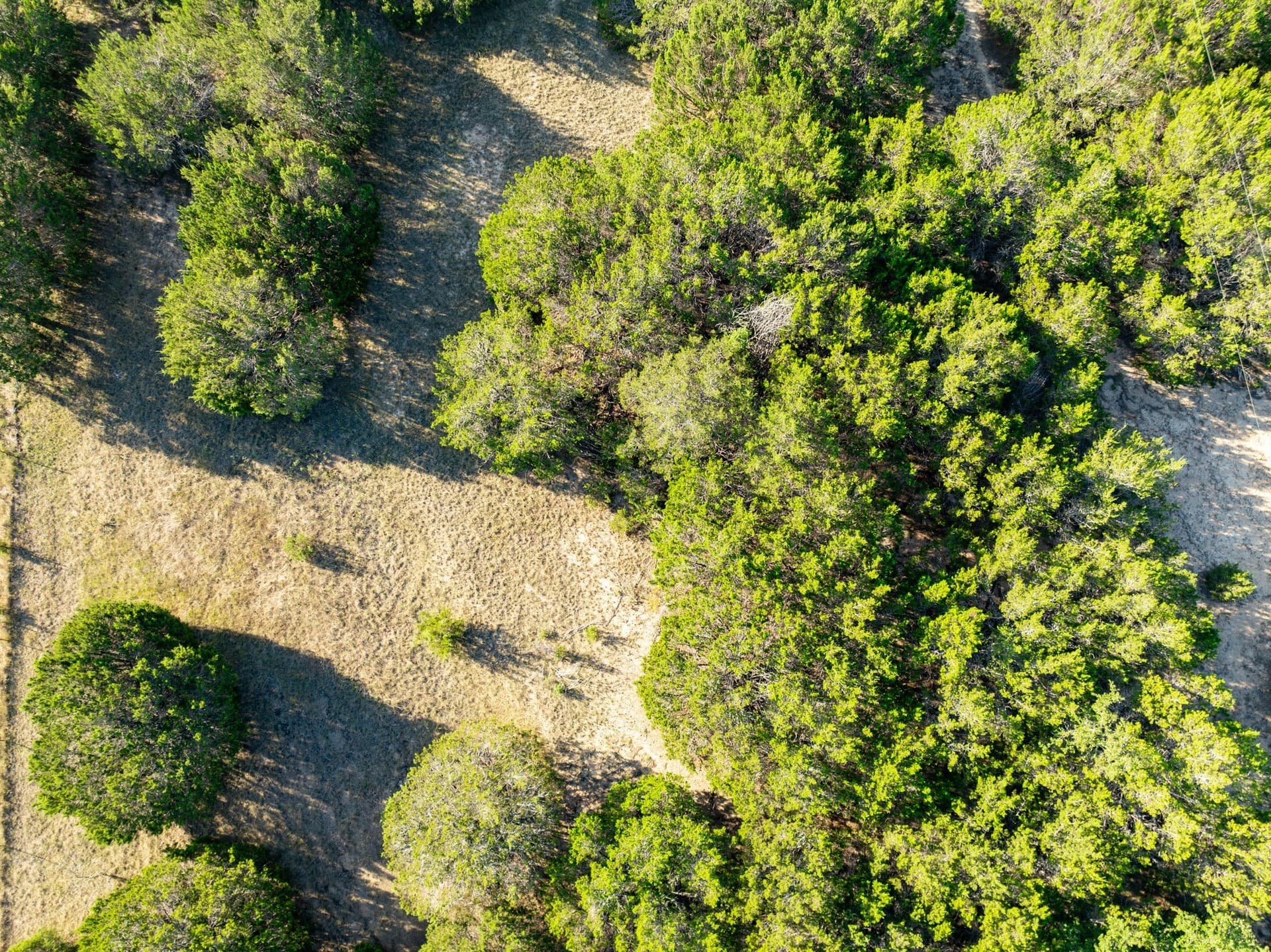 12 acres in Bosque County - photo 16