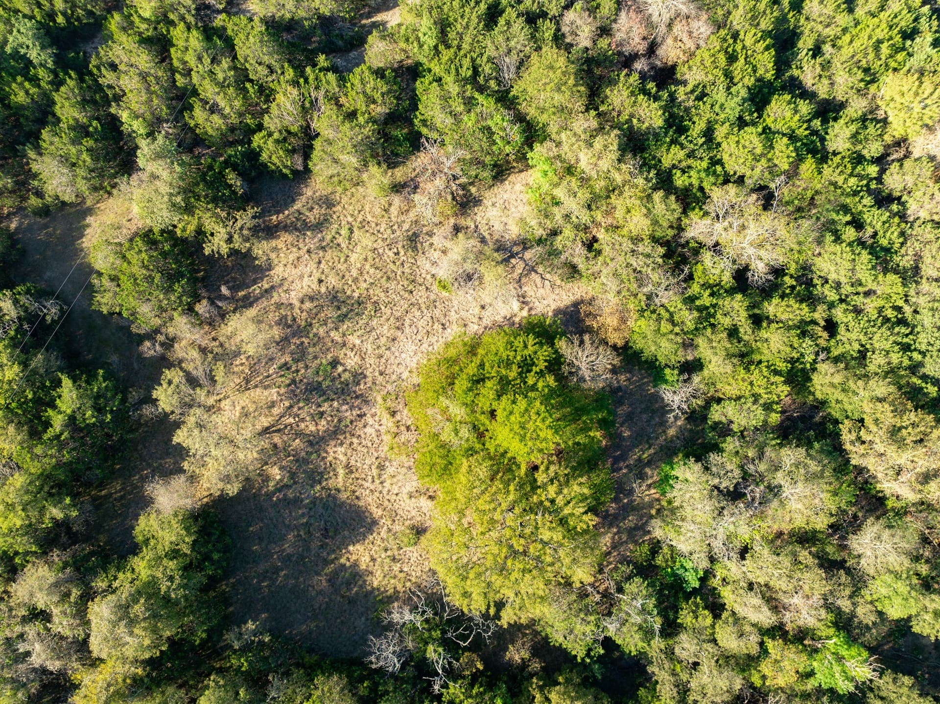 12 acres in Bosque County - photo 24