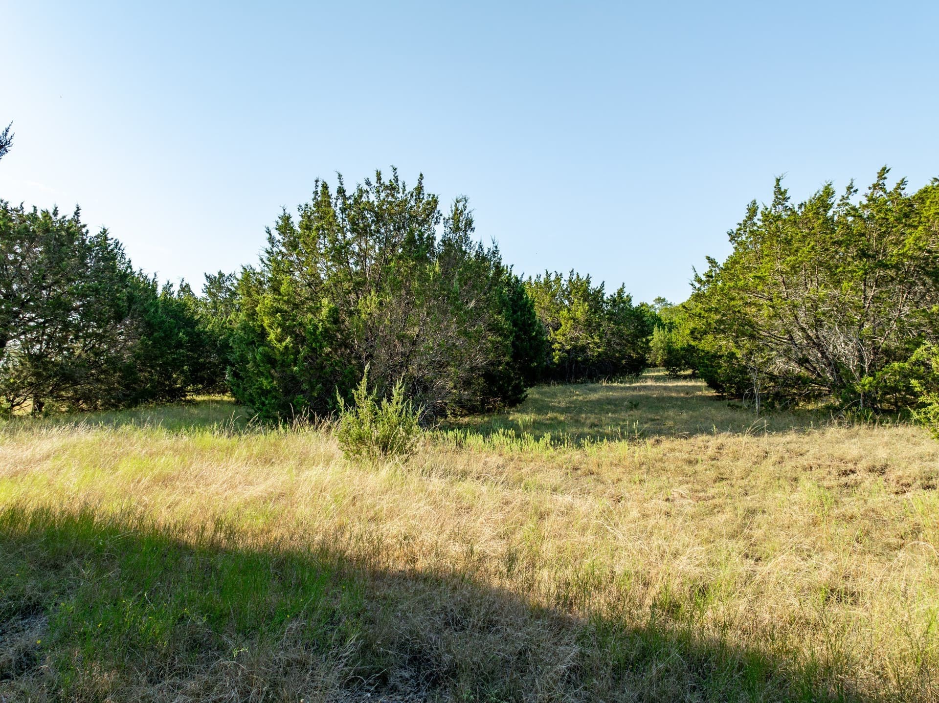 12 acres in Bosque County - photo 23