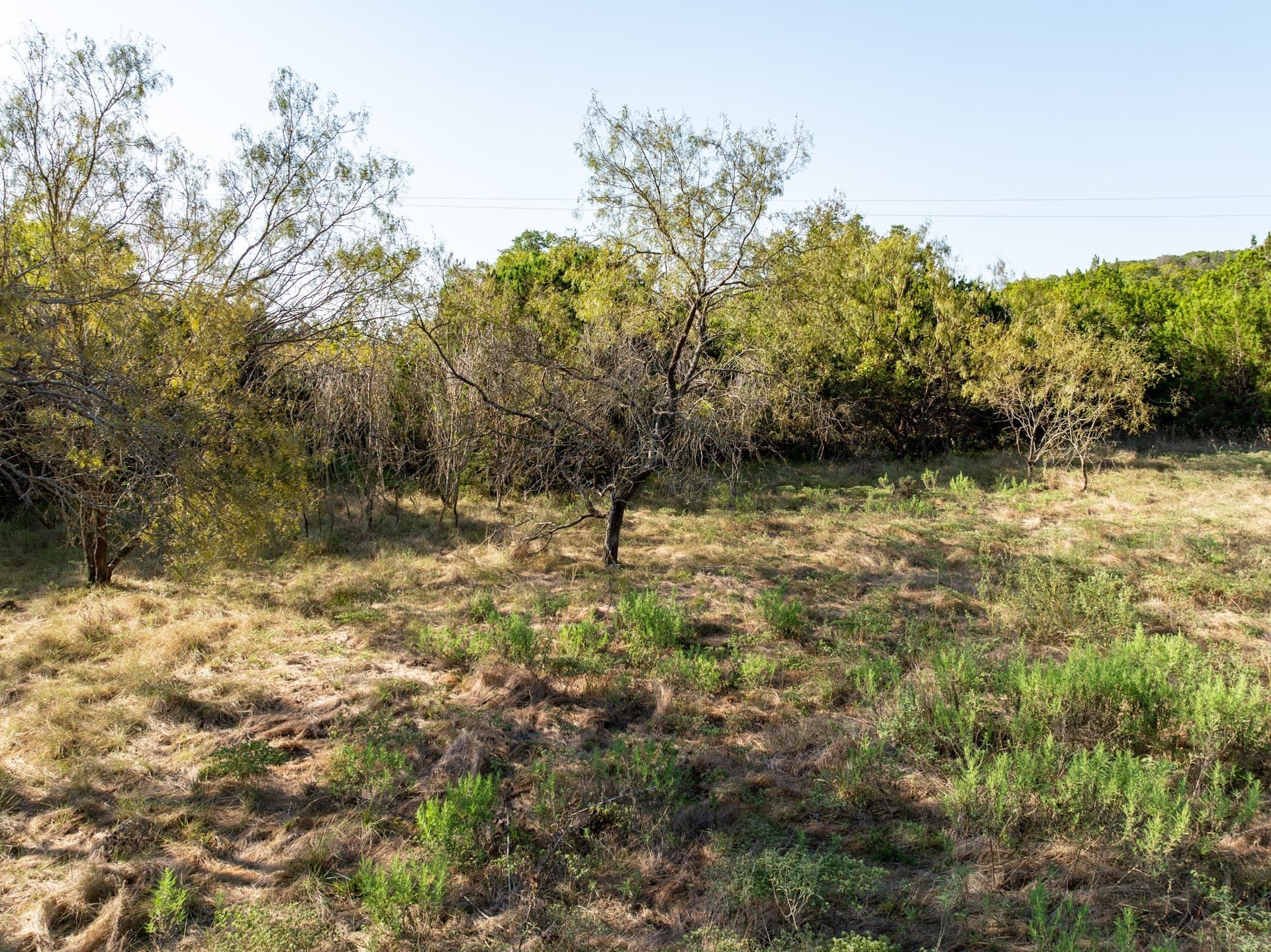 12 acres in Bosque County - photo 26