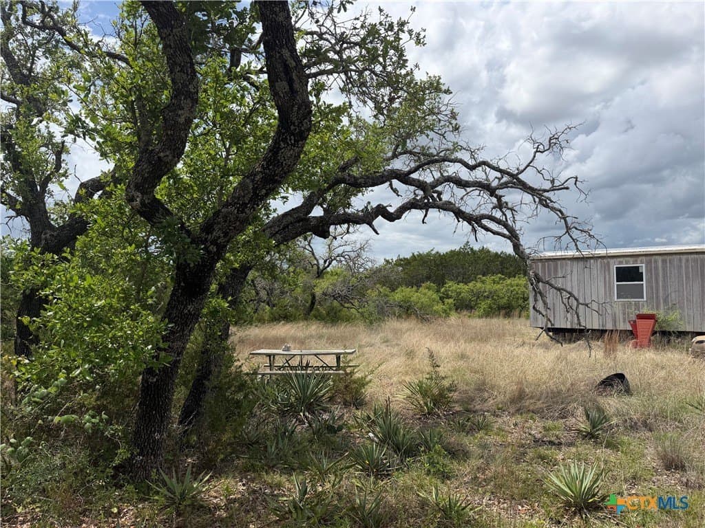 10.03 acres in Coryell County gallery image 4