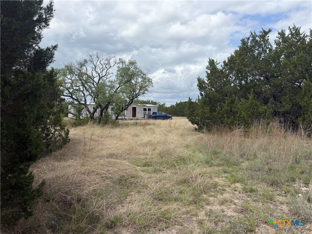 10.03 acres in Coryell County gallery image 3