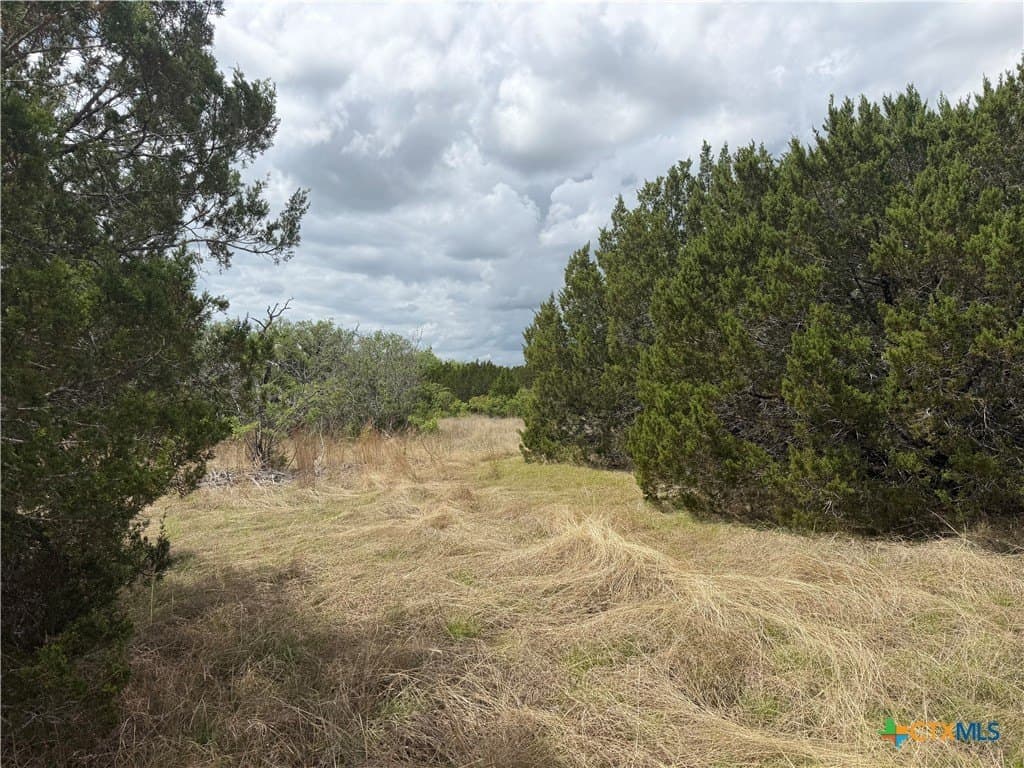 10.03 acres in Coryell County gallery image 2