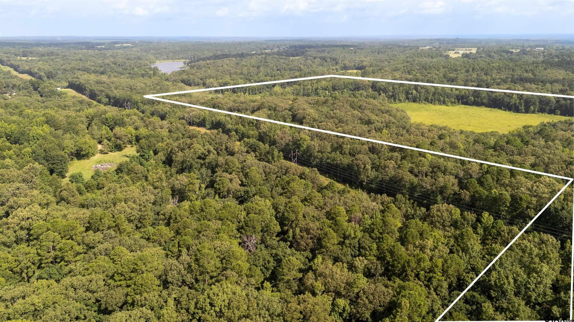 88 acres in Wood County - photo 26