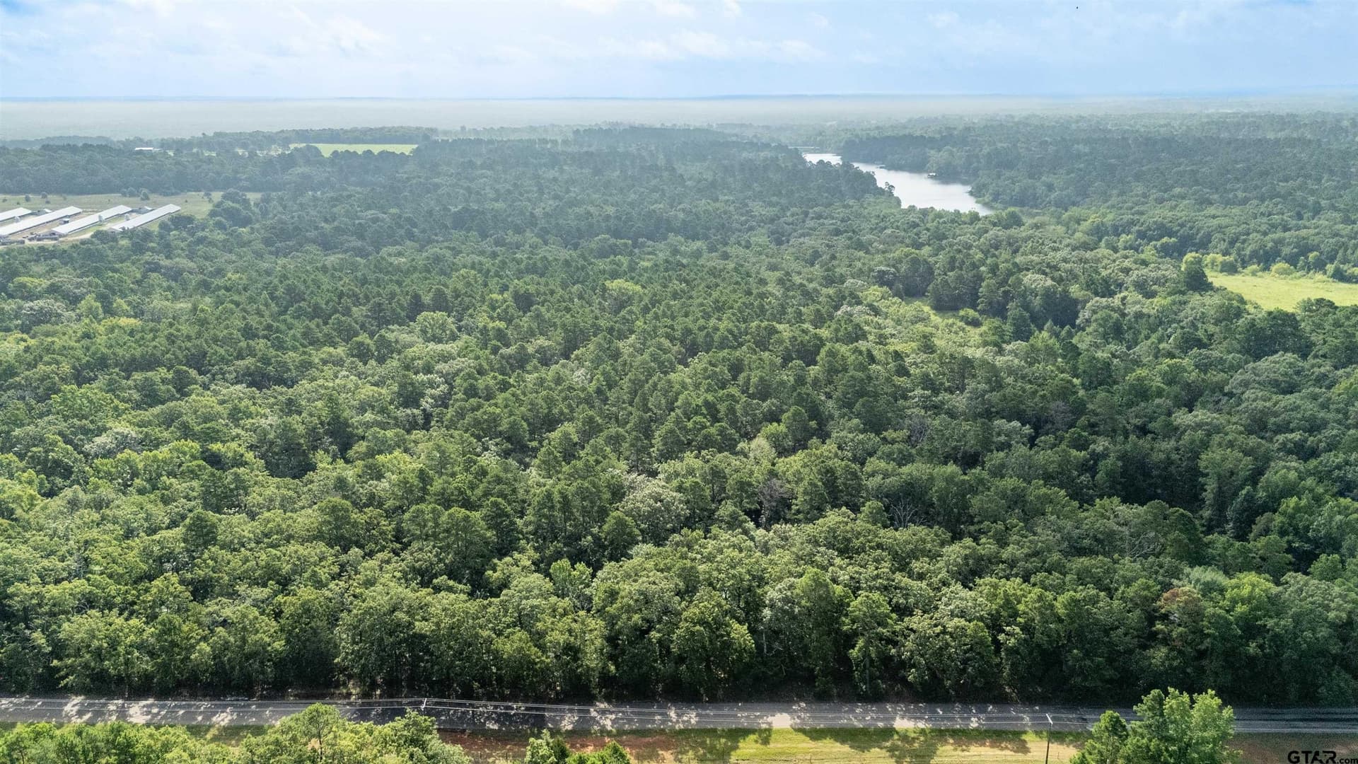 88 acres in Wood County - photo 7