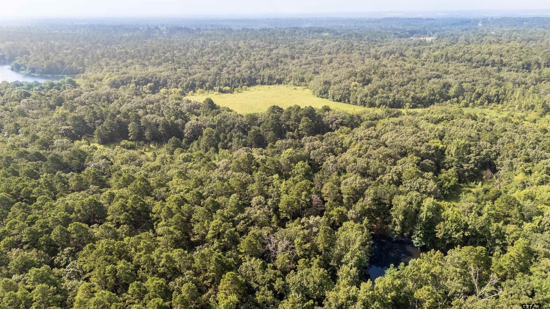 88 acres in Wood County - photo 9